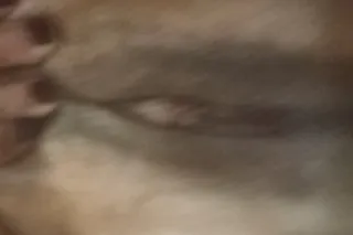 100% all REAL Women w/ Curves!... - Image 1