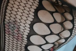 klynn the spanish cream GODDESSS - Image 5